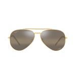 Ray-Ban 3625 Sunglass